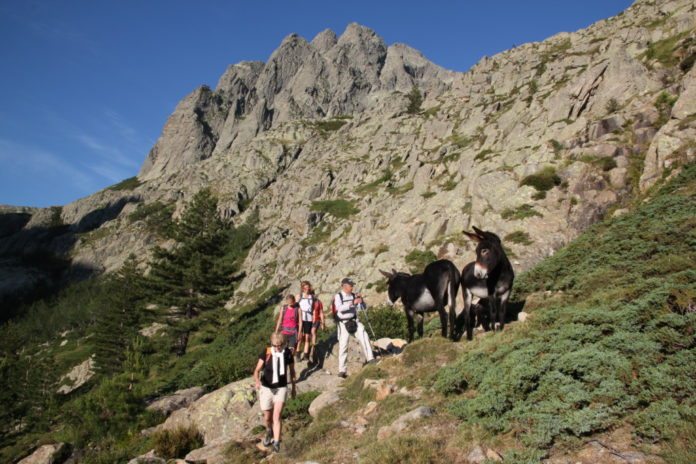 Poelzelbauer 4 Seentour Poelzelbauer 4 Seentour