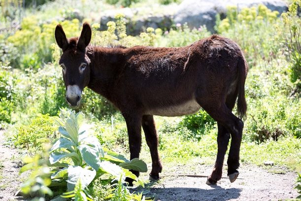 Themenwoche 2016: Körperliches Wohlbefinden & seelische Erholung