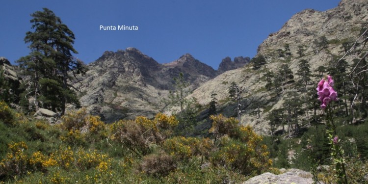 Projekt Juni 2016: Neues Gipfelkreuz auf der Punta Minuta (2556 m)