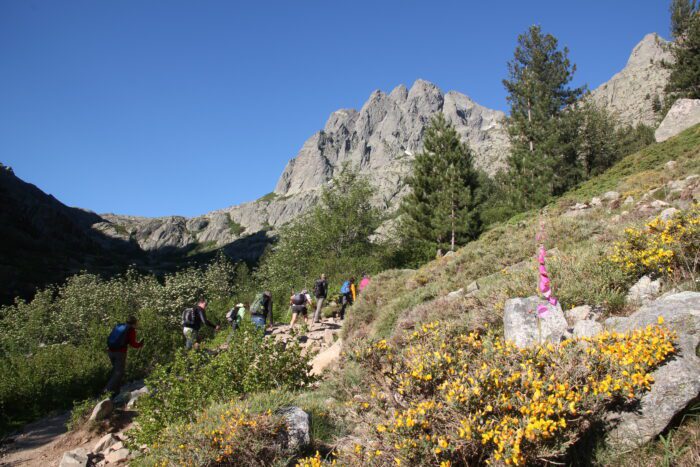 Wandern und Bergsteigen auf Korsika